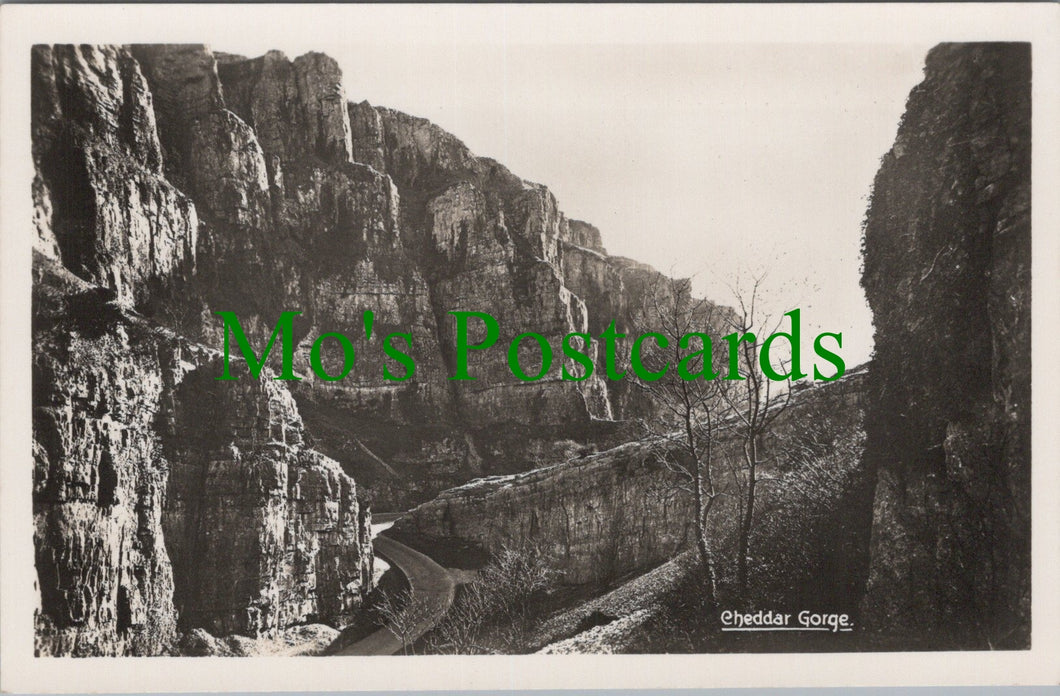 Somerset Postcard - View of Cheddar Gorge SW11899