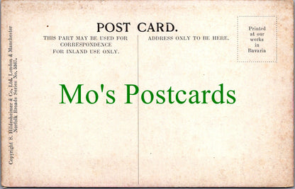 Norfolk Postcard - Boating Near Wroxham  SW11933