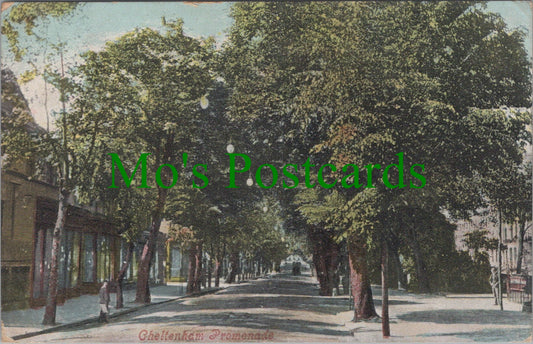 Gloucestershire Postcard - Cheltenham Promenade  SW11944