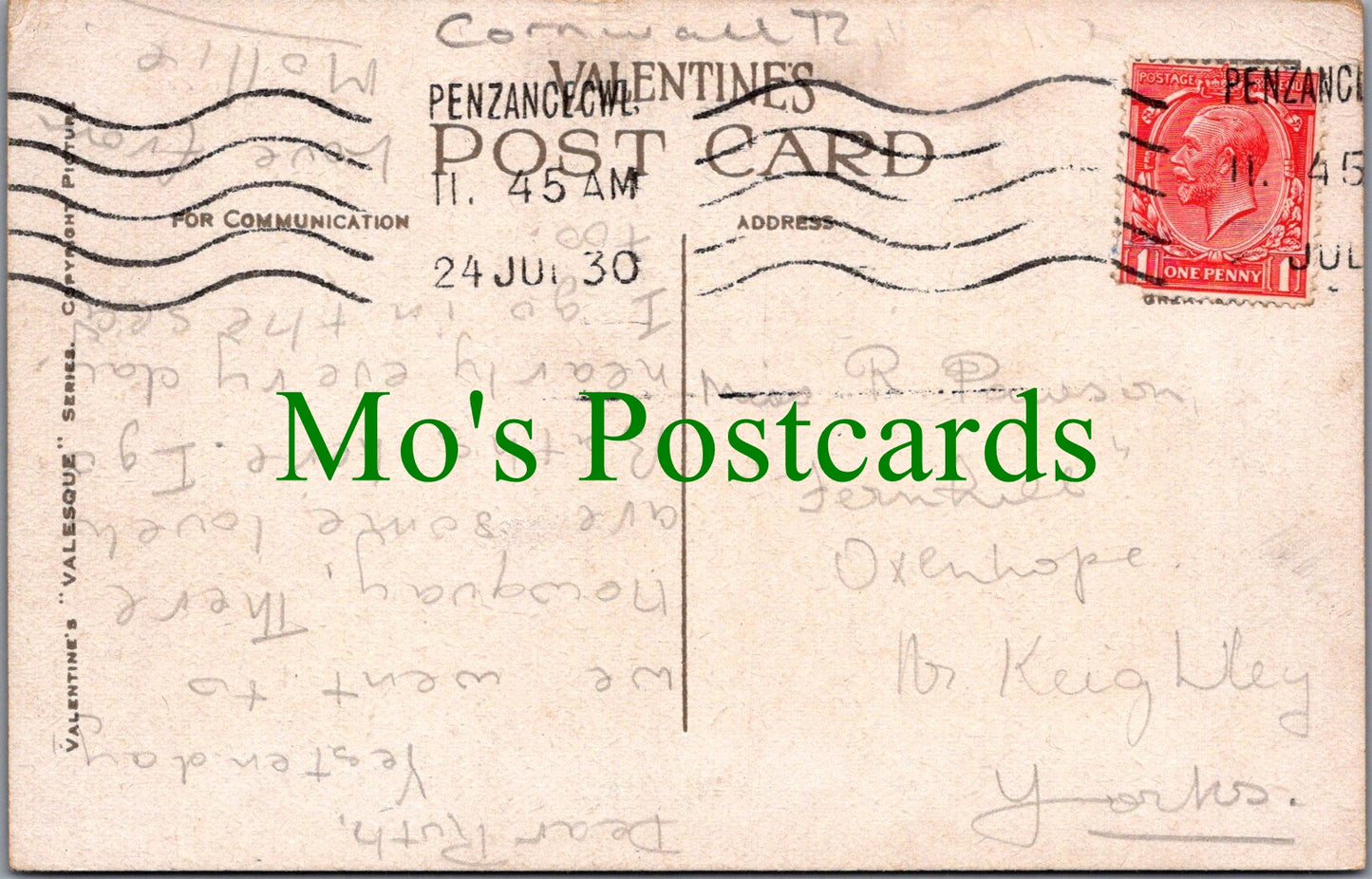 Cornwall Postcard - Penzance, Palm Avenue in Morrab Gardens  SW11945