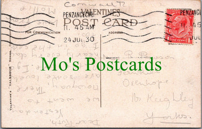 Cornwall Postcard - Penzance, Palm Avenue in Morrab Gardens  SW11945