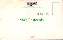 Load image into Gallery viewer, Holiday Message Postcard - Ferris wheel, Amusement Ride  SW13407
