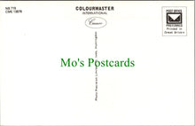 Load image into Gallery viewer, Norfolk Postcard - The Mill, River Bure, Horning    SW13423
