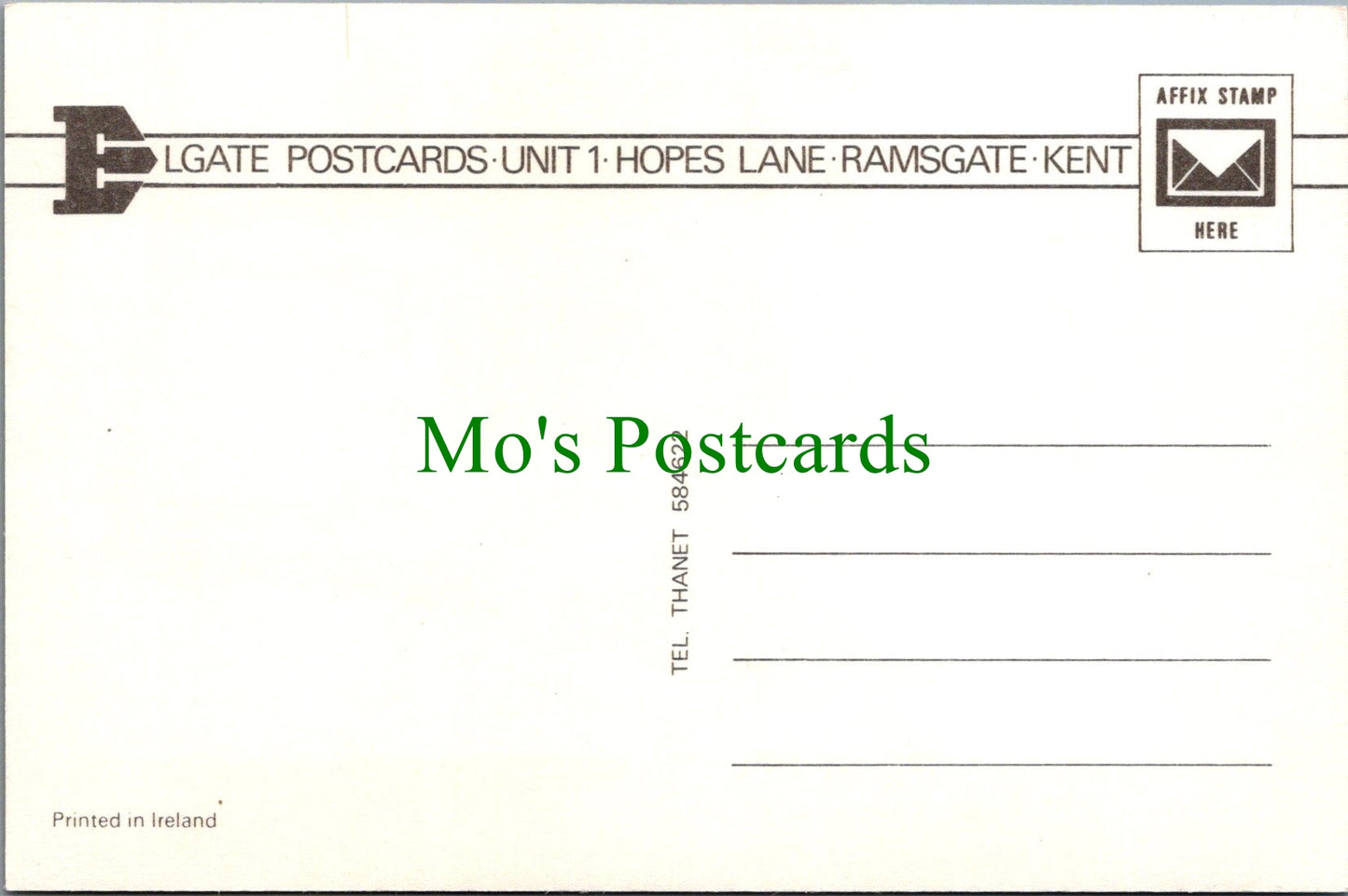 Animals Postcard - Horse Stood in a Paddock SW13424