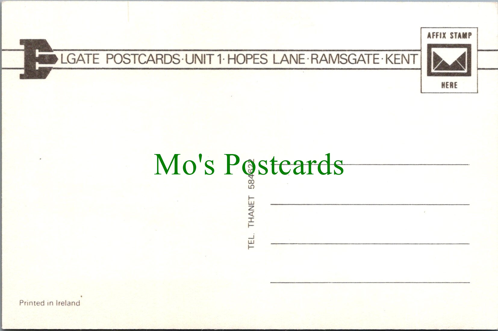 Animals Postcard - Horse Stood in a Paddock SW13424