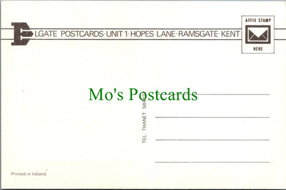 Animals Postcard - Horse Stood in a Paddock SW13424