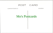 Load image into Gallery viewer, Isle of Wight Postcard - Brading Church c1870 -  SW13526
