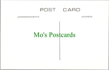 Load image into Gallery viewer, Isle of Wight Postcard - St Helens Tower c1893 - SW13527
