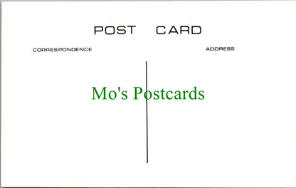 Hampshire Postcard - Old Basingstoke, New Street c1900 - SW13528