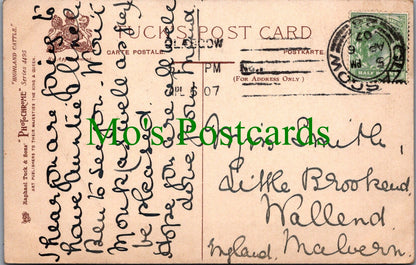 Scotland Postcard - Highland Cattle at Aberfoyle  SW11992