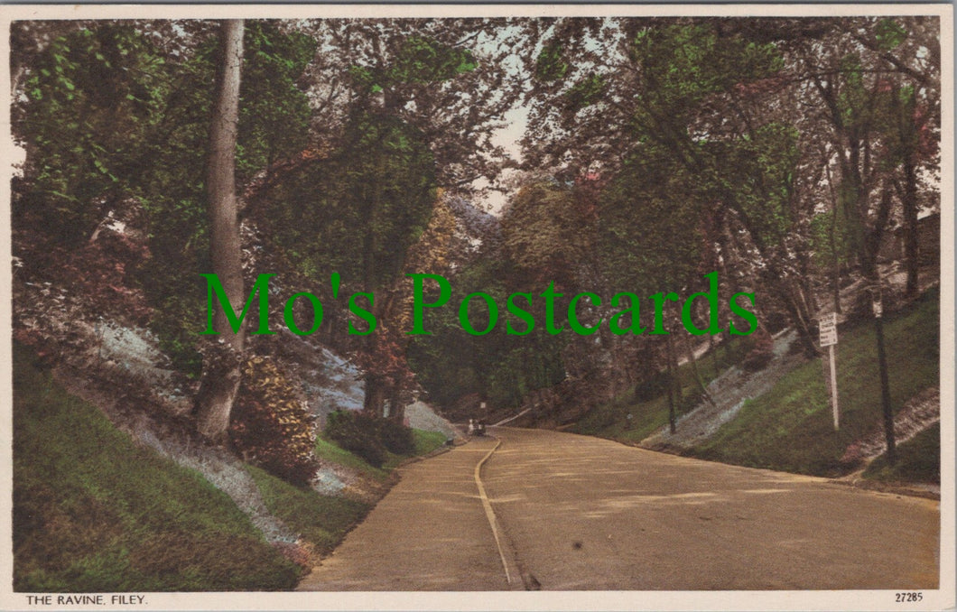 Yorkshire Postcard - Filey, The Ravine  SW12005