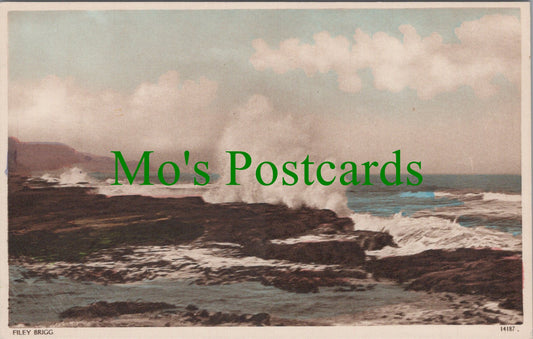 Yorkshire Postcard - Filey Brigg   SW12007