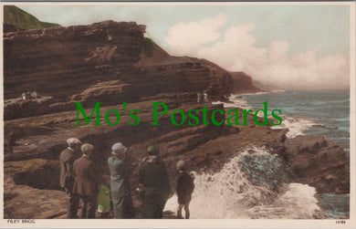 Yorkshire Postcard - Filey Brigg   SW12008
