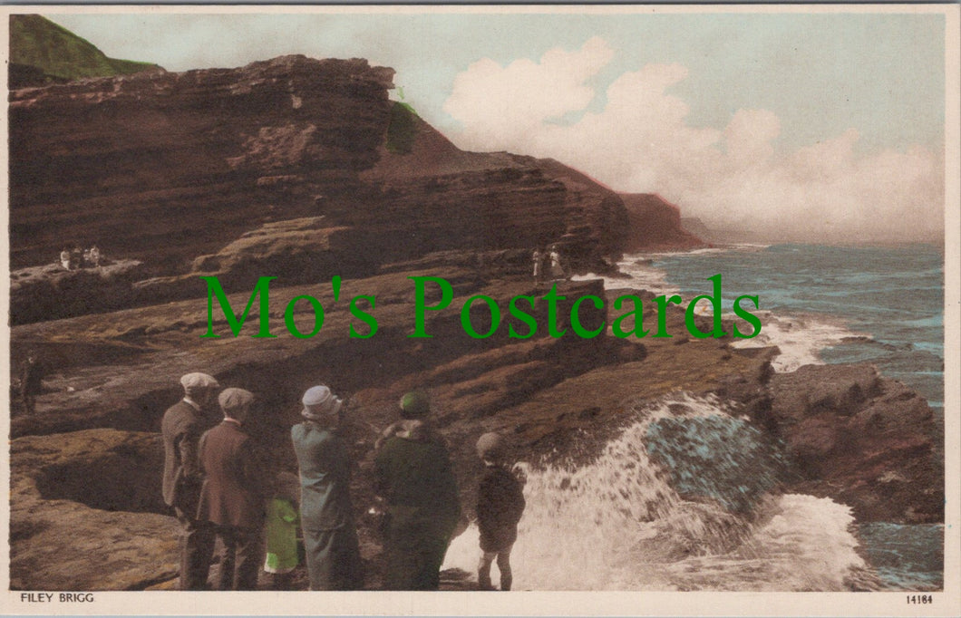 Yorkshire Postcard - Filey Brigg   SW12008