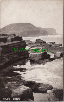 Yorkshire Postcard - Filey Brigg  SW12012