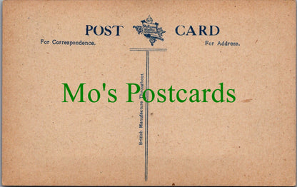 Cheshire Postcard - Chester Cathedral & St Werburgh Street  SW12038