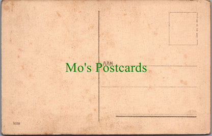 Netherlands Postcard - Marken Children   SW12721