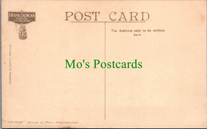 New Zealand Postcard - Tea Kiosk, Cornwall Park, Auckland SW11183