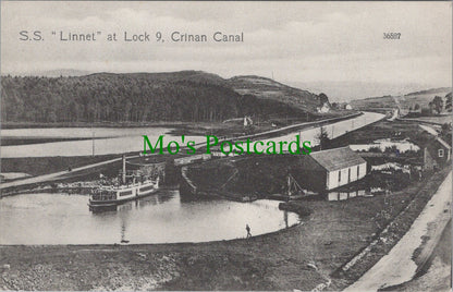 Scotland Postcard - S.S."Linnet" at Lock 9, Crinan Canal  SW11190