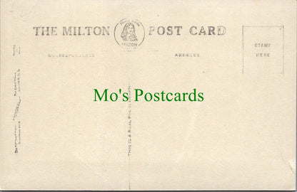 Somerset Postcard - Blake Statue, Bridgwater   SW11208