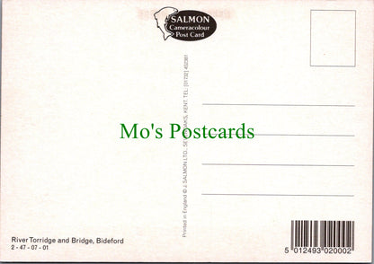 Devon Postcard - Bideford, River Torridge and Bridge  SW12829