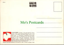 Load image into Gallery viewer, Devon Postcard - Ilfracombe Town and Harbour  SW12871
