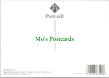 Load image into Gallery viewer, Lincolnshire Postcard - Steep Hill, Lincoln City  SW11419
