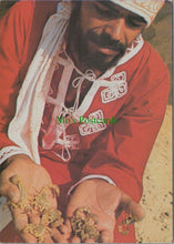 Load image into Gallery viewer, Animals Postcard - Scorpions -Tozeur: Boubaker Et Les Scorpions SW11438
