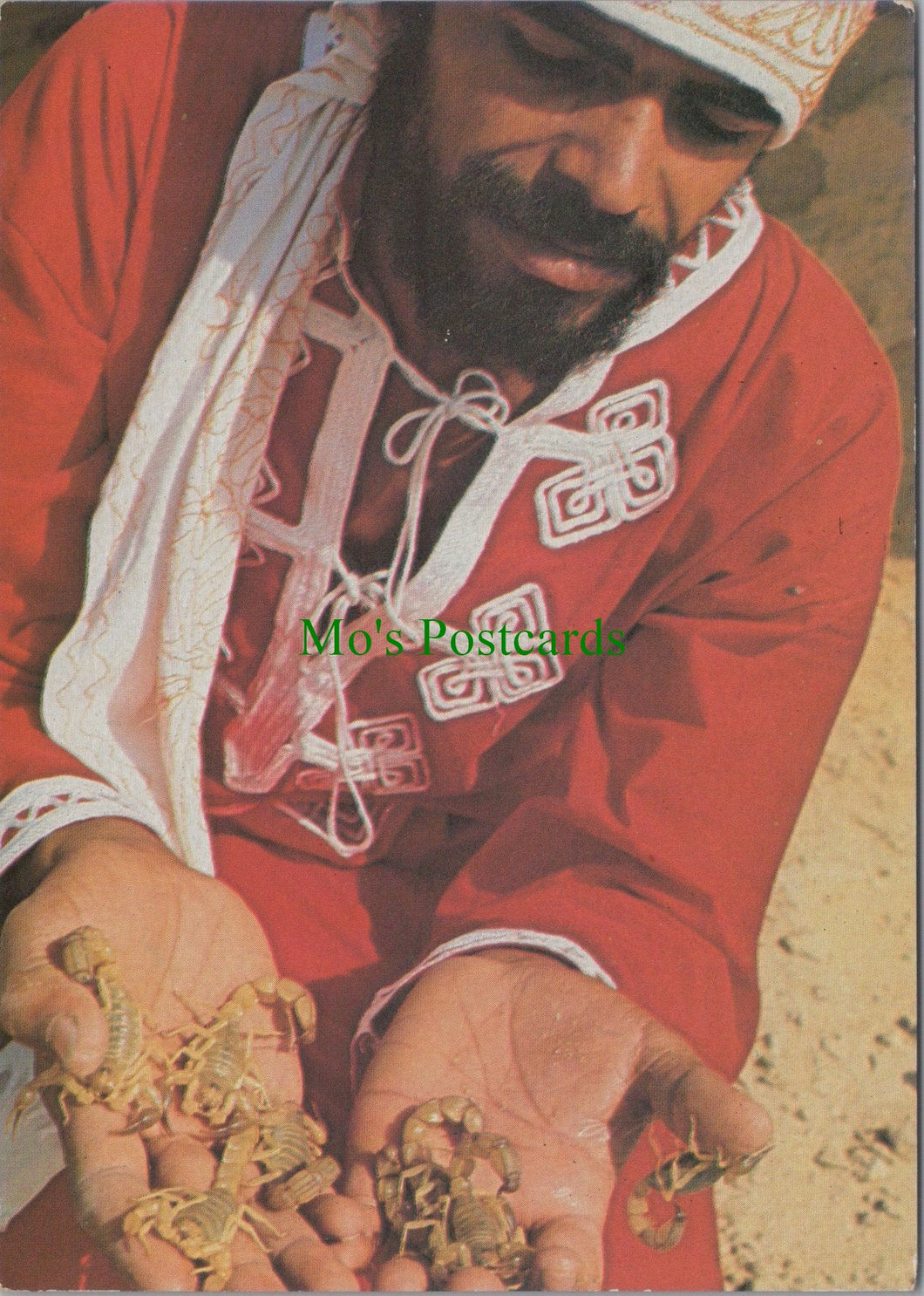 Animals Postcard - Scorpions -Tozeur: Boubaker Et Les Scorpions SW11438