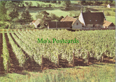 Somerset Postcard - Wootton Vines, North Wootton, Nr Wells   SW11454