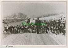 Load image into Gallery viewer, Animals Postcard - Dogs, Devon and Somerset Staghounds  SW11457
