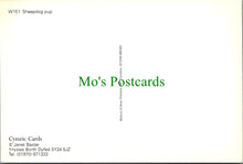 Load image into Gallery viewer, Animals Postcard - Dogs, Sheep Dog Pup SW11470
