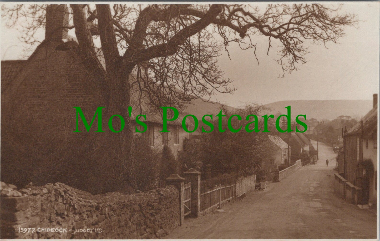 Dorset Postcard - Chideock Village SW12328