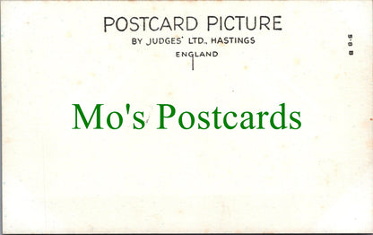 Dorset Postcard - Chideock Village SW12328