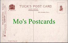 Load image into Gallery viewer, Animals Postcard - Dogs, When Dogs Are Puppies SW12339
