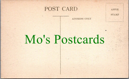 Jersey Postcard - Rozel and Tropical Gardens  SW12340