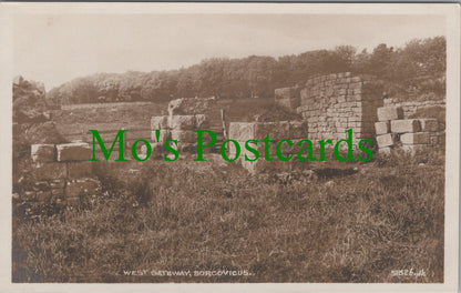 Northumberland Postcard - Hadrian's Wall, West Gateway, Borcovicus  SW12360