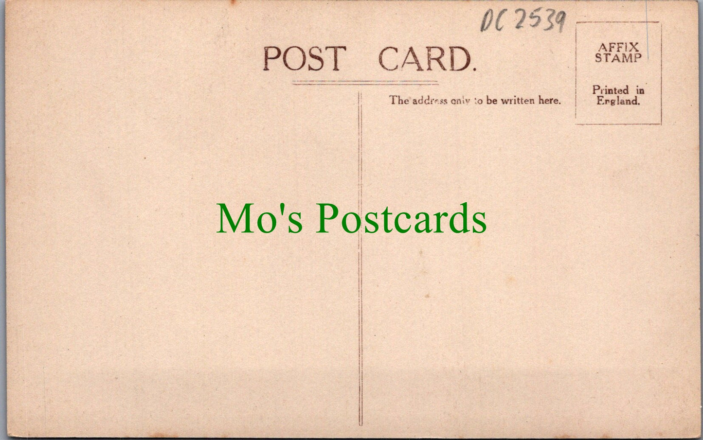 Gloucestershire Postcard - Worcester Lodge, Badminton Park  DC2539