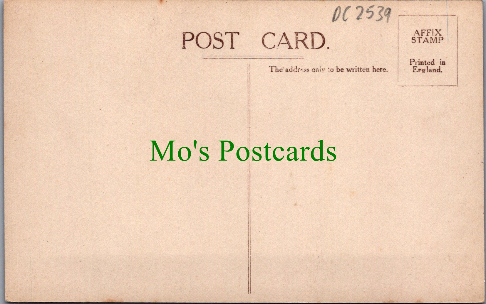 Gloucestershire Postcard - Worcester Lodge, Badminton Park  DC2539