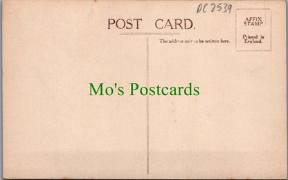 Gloucestershire Postcard - Worcester Lodge, Badminton Park  DC2539
