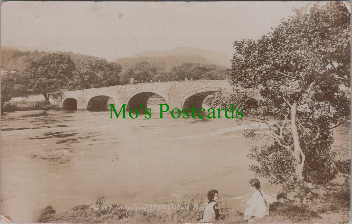 Wales Postcard - Dolgelley, Llanelltyd Bridge  DC2510