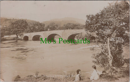 Wales Postcard - Dolgelley, Llanelltyd Bridge  DC2510