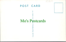 Load image into Gallery viewer, Comic Postcard - Pub / Women / Beer / Barman / Customer DC2519
