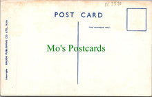 Load image into Gallery viewer, Comic Postcard - Risque / Woman / Driving Test / Driving Instructor  DC2520
