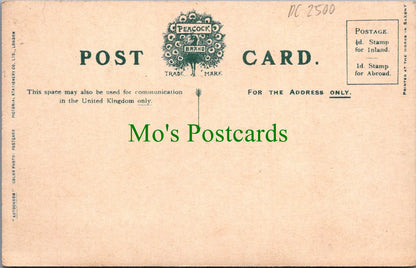 Cornwall Postcard - St Michael's Mount From Castle Gayer  DC2500