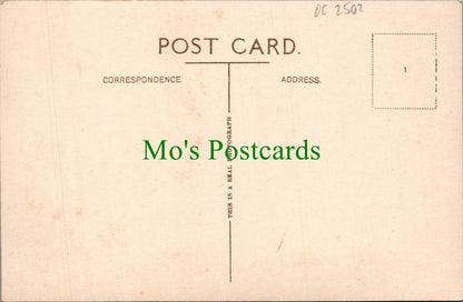 Cornwall Postcard - St Michael's Mount, Penzance  DC2502