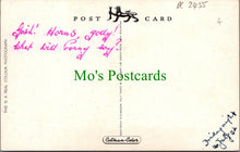 Load image into Gallery viewer, Animals Postcard - Fallow Deer, Zoo Animals DC2455
