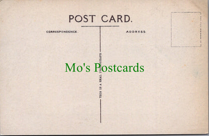 Sussex Postcard - Bexhill-on-Sea Boating Lake, Egerton Park  SW12998