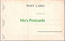 Load image into Gallery viewer, Animals Postcard - Dog, Puppy and Ducks SW13004
