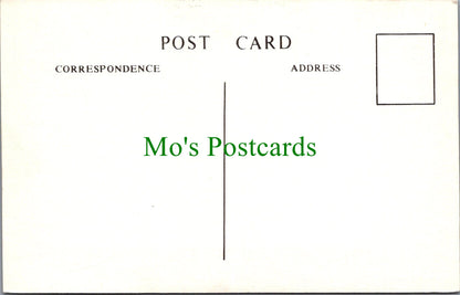 Sport Postcard - Cricket, The Umpires Pougher & Atfield SW11700